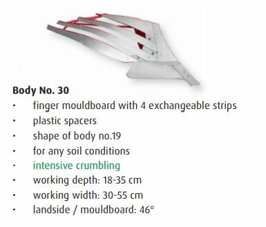 Body 30