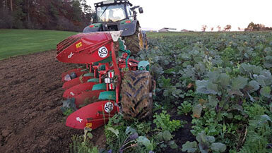 Corrected-field-ghg78b8n7k1